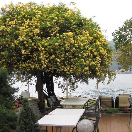 Piccolo Hotel Direkt Am See Brenzone sul Garda Luaran gambar