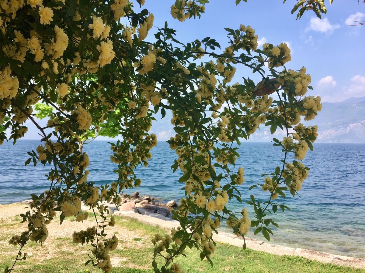 Piccolo Hotel Direkt Am See Brenzone sul Garda Luaran gambar